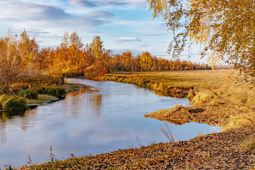 Photograph by Алексей Афанасьев