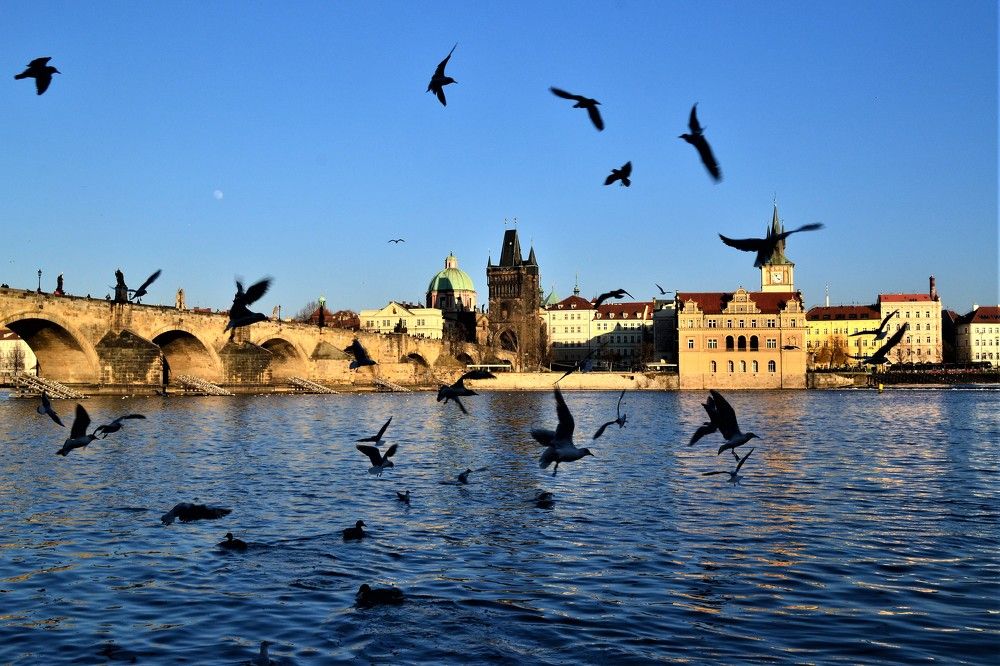 Photograph by Zdeňka Hudcová