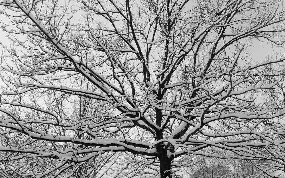 Photograph by Сергей Рудаков