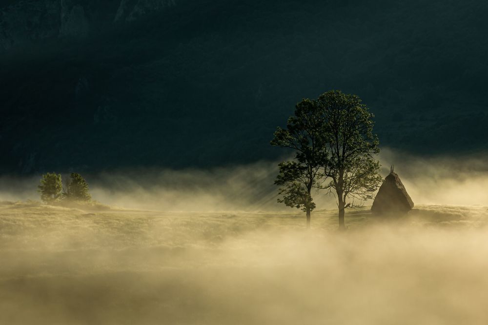 Photograph by  Camelia