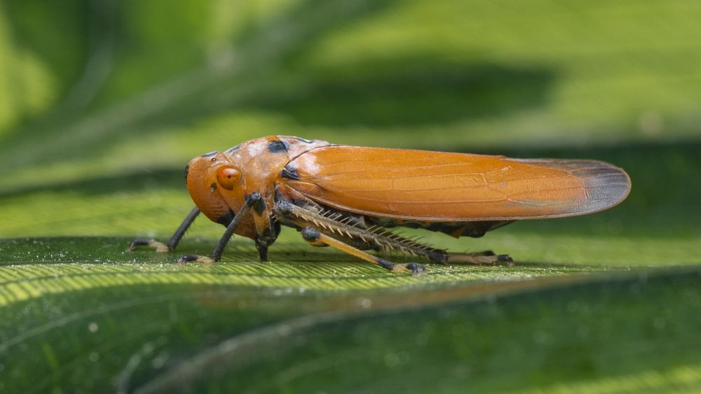 Photograph by Ng Max