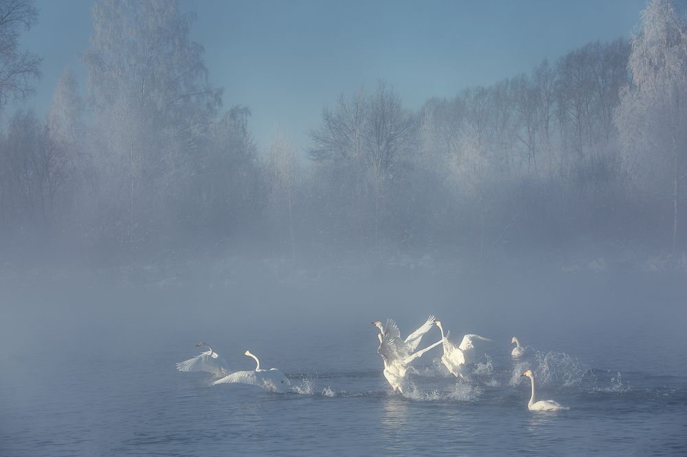 Фотография автора Вадим Кононенко