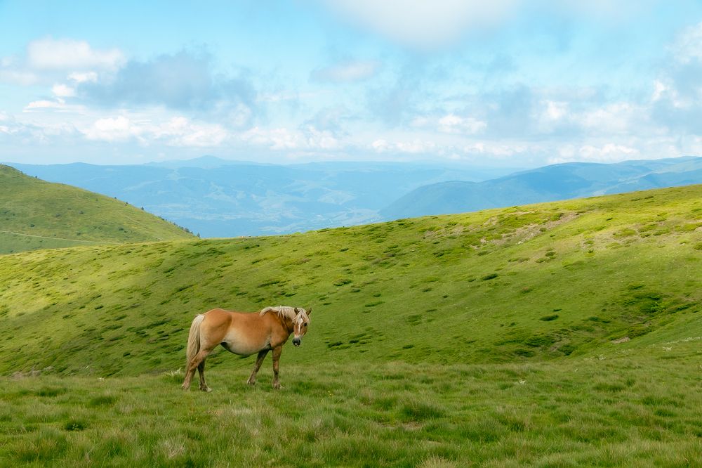 Photograph by Трайко Байко