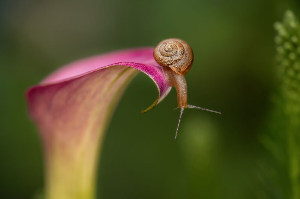 Photograph by Yelena