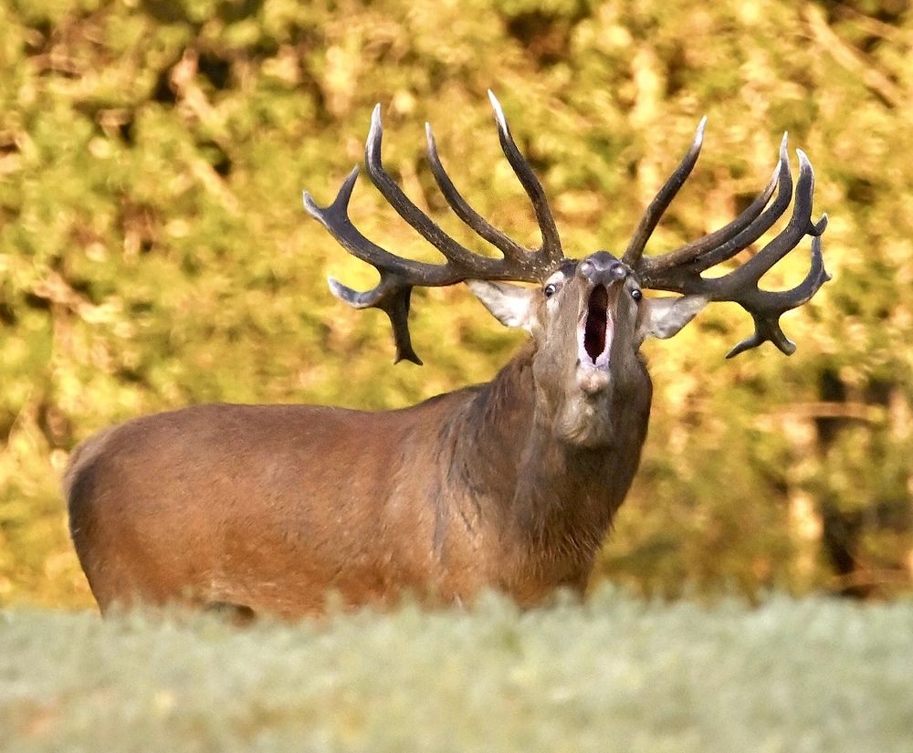 Photograph by Анатолий Андреев