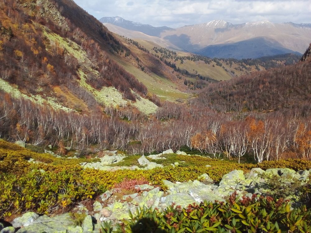 Архыз этой осенью .