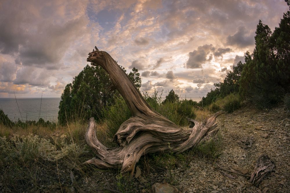 Фотография автора Вадим Коваленко