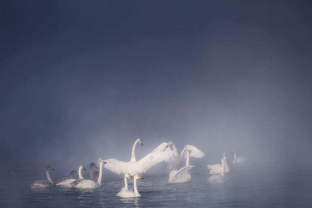 Фотография автора Вадим Кононенко