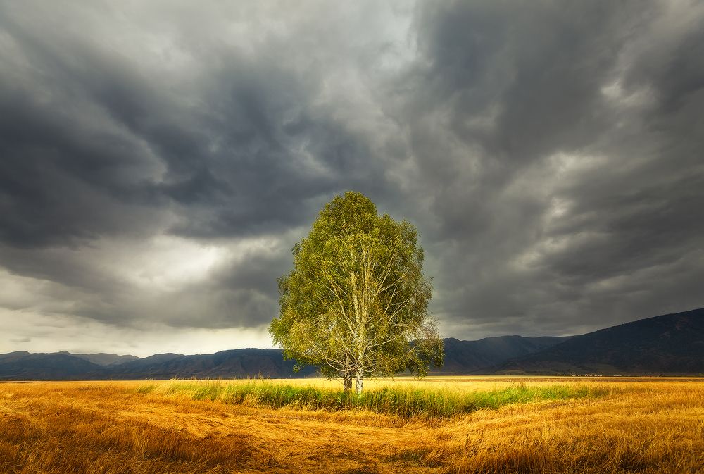 Фотография автора Вадим Кононенко