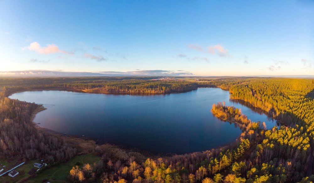 Утренний вид на озеро в Ленинградской обрасти.