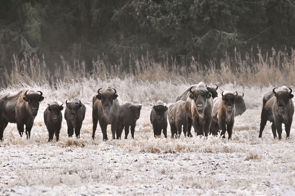 Photograph by Анатолий Андреев