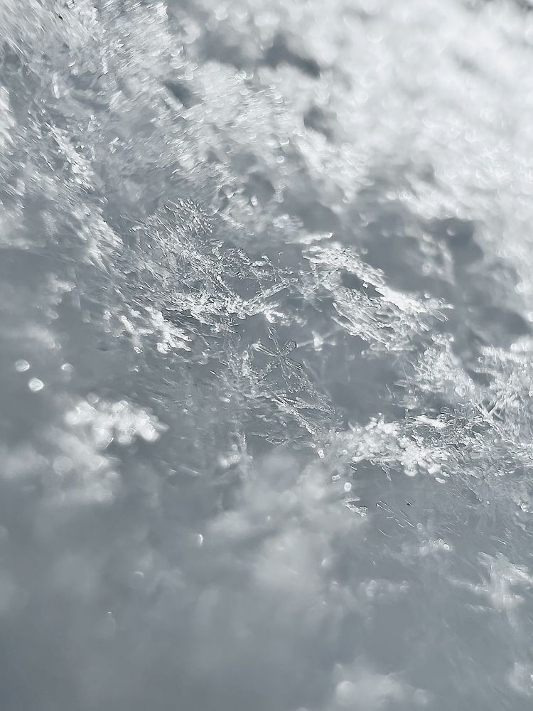 Photograph by ANDREY ZARUBIN