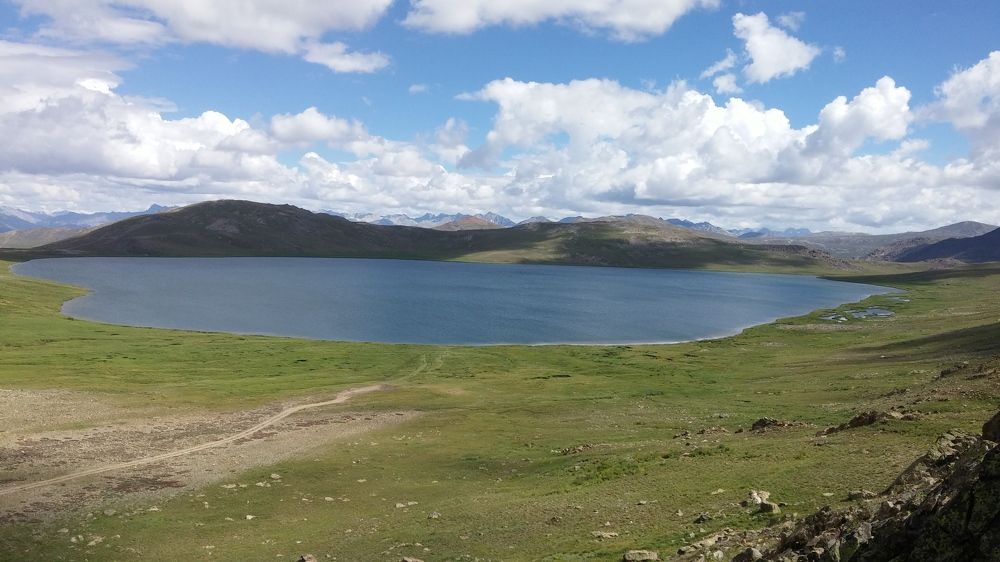 Photo #7341453