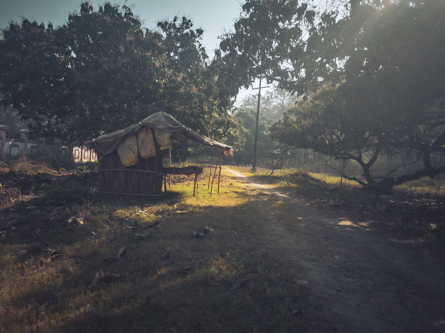 HUT in the daylight