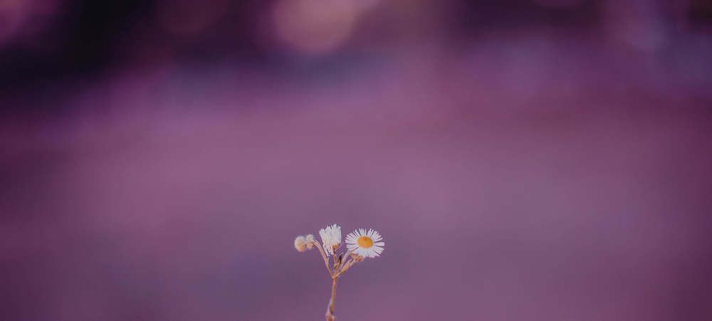 Photograph by Tornike kurashidze