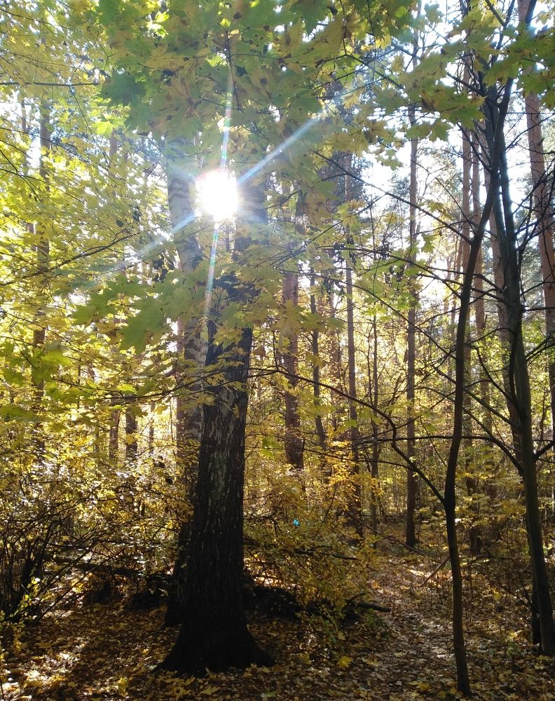 Photograph by Ольга Сафронова