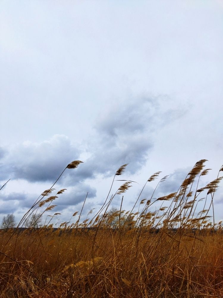 Photograph by Larisa