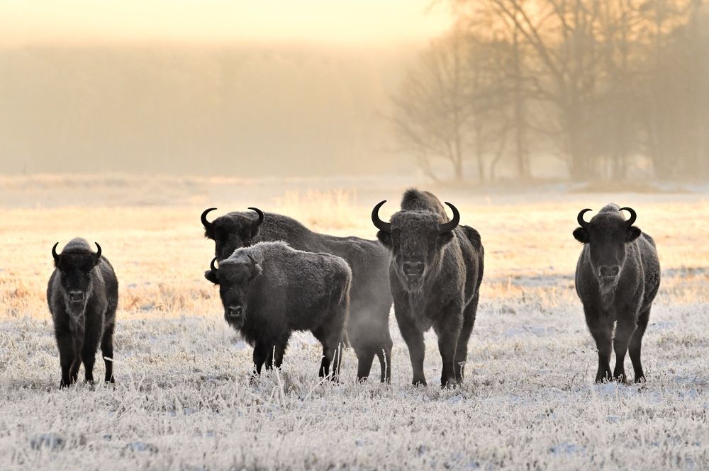 Photograph by Анатолий Андреев