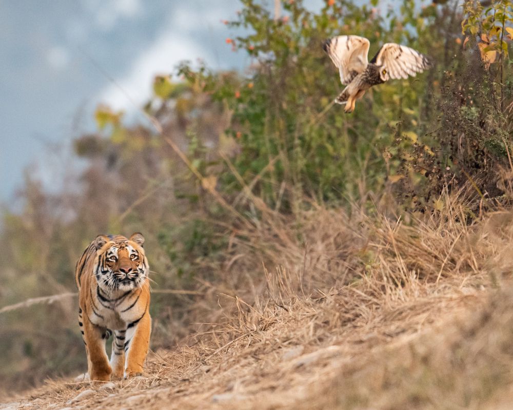 Photograph by Linto John