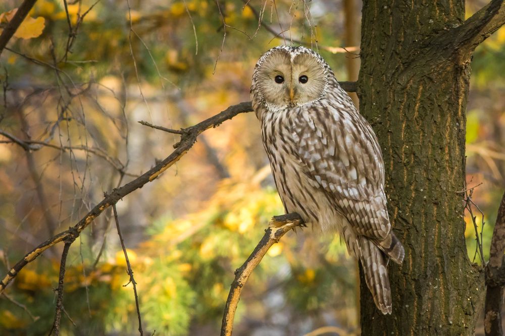 Фотография автора Суслов Дмитрий