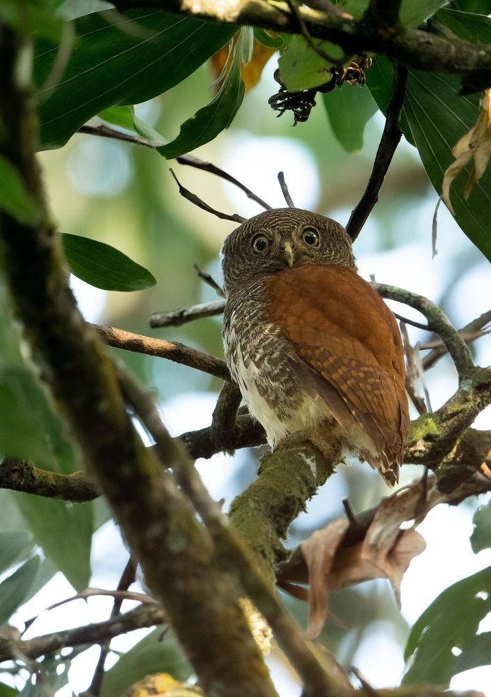 Photograph by Umesh Ranasinghe