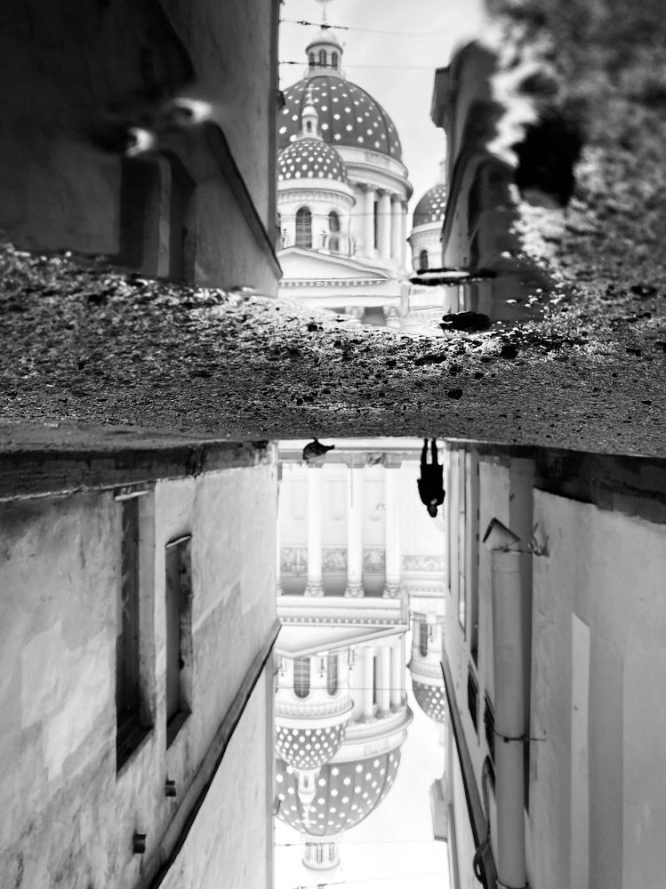 Фотография автора Анна Могилева