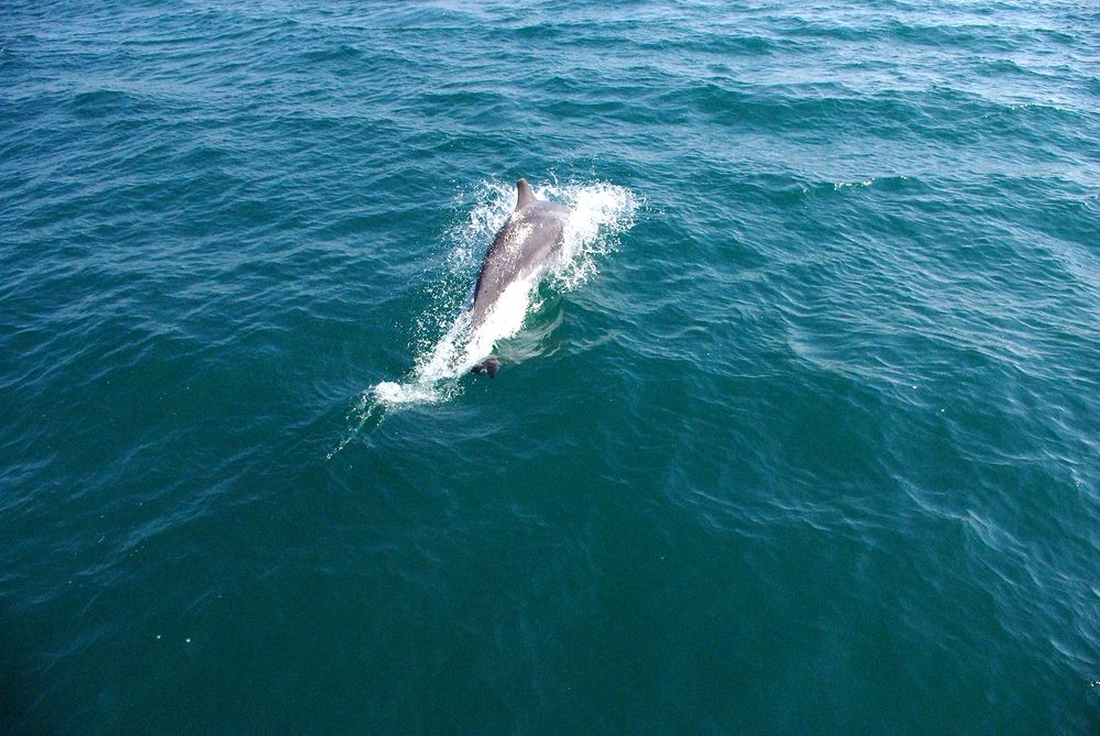 Photograph by Лилия Потравнова