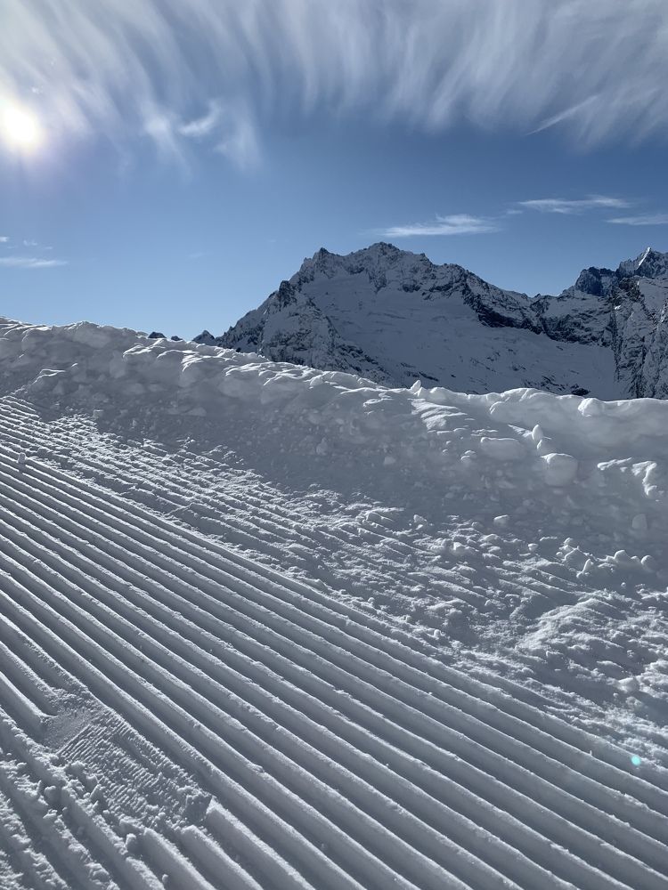 Фотография автора Недосекина Юлия