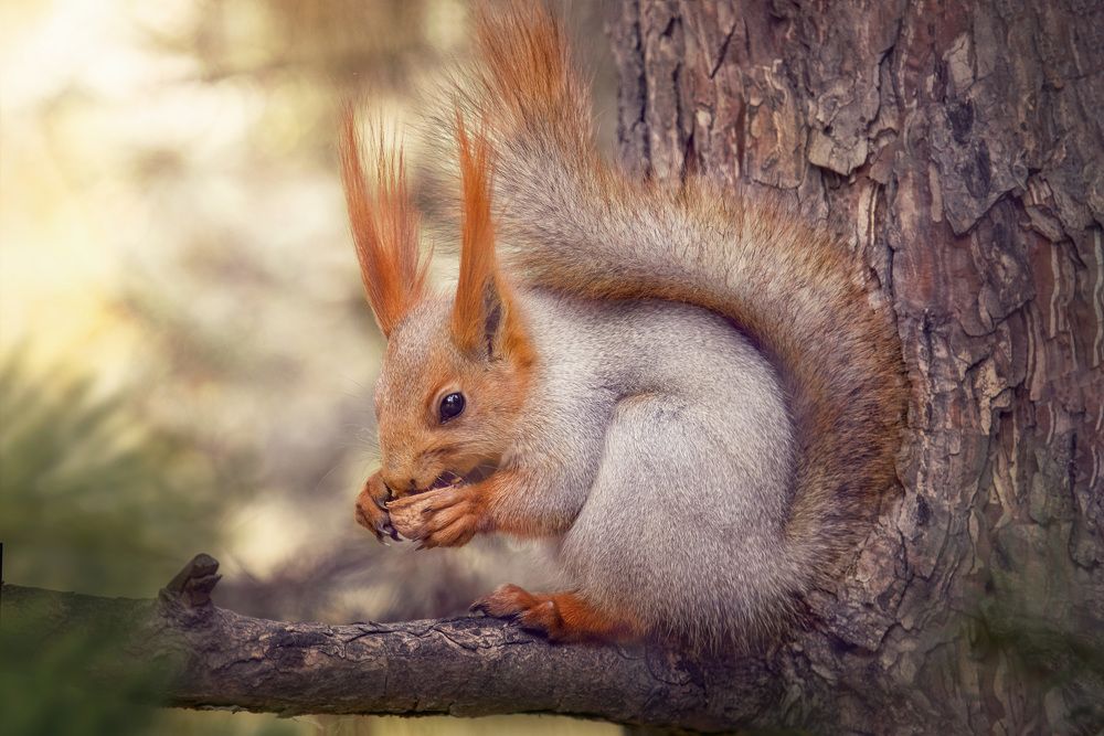 Photograph by Татьяна Колесникова