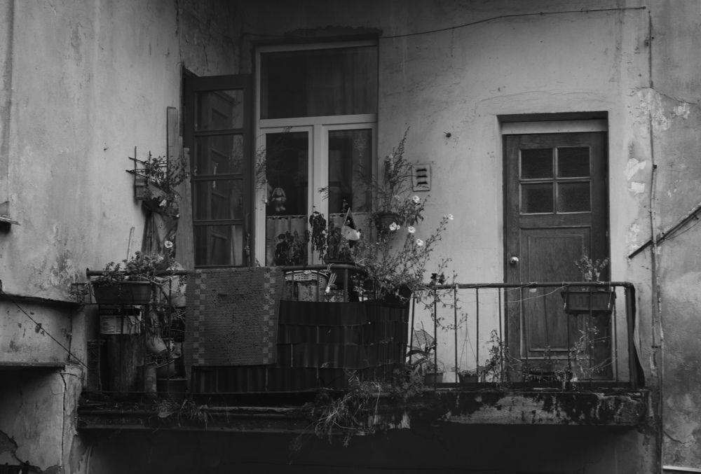 Photograph by Денис Орехов