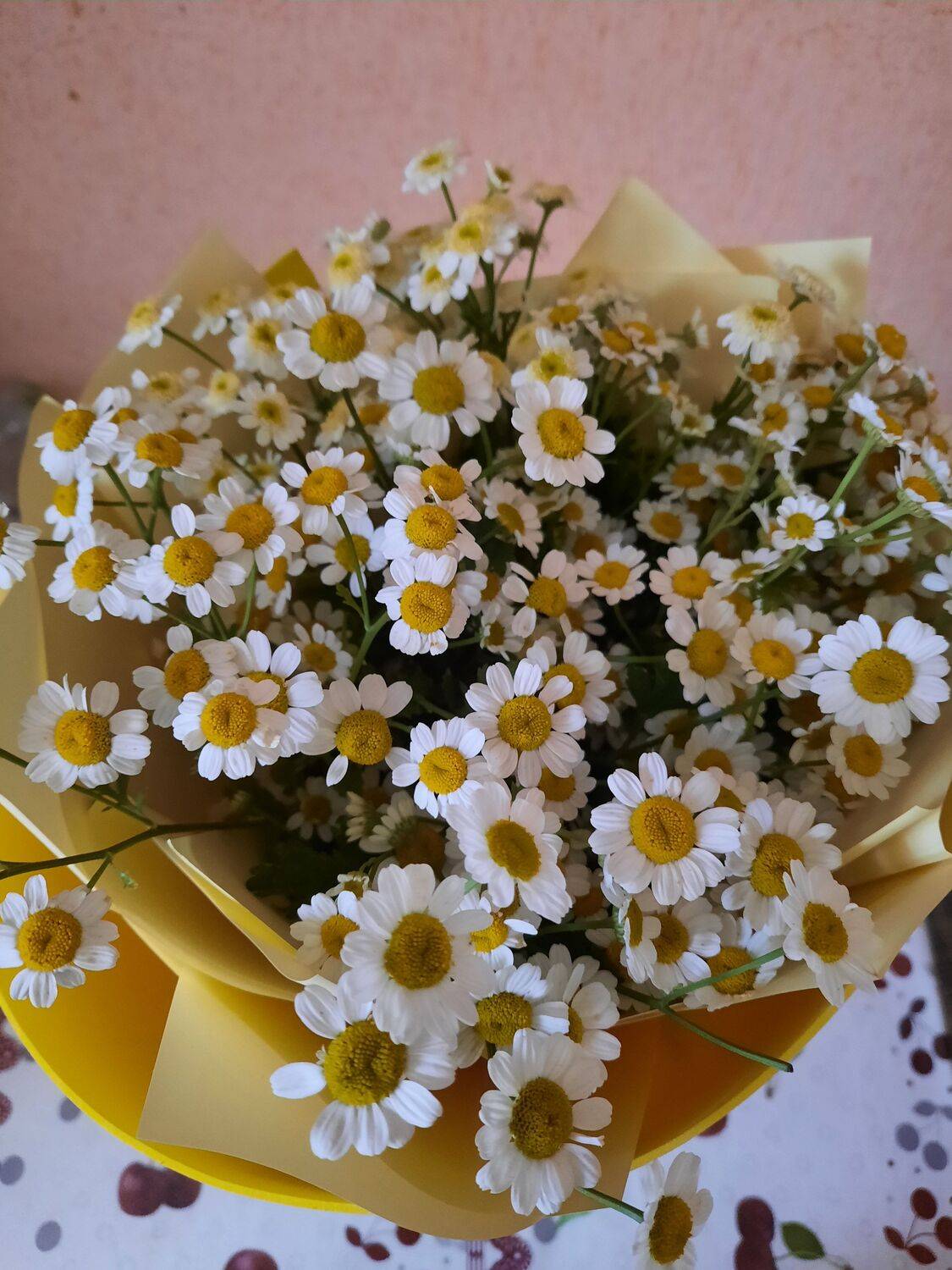 Photo #7341682