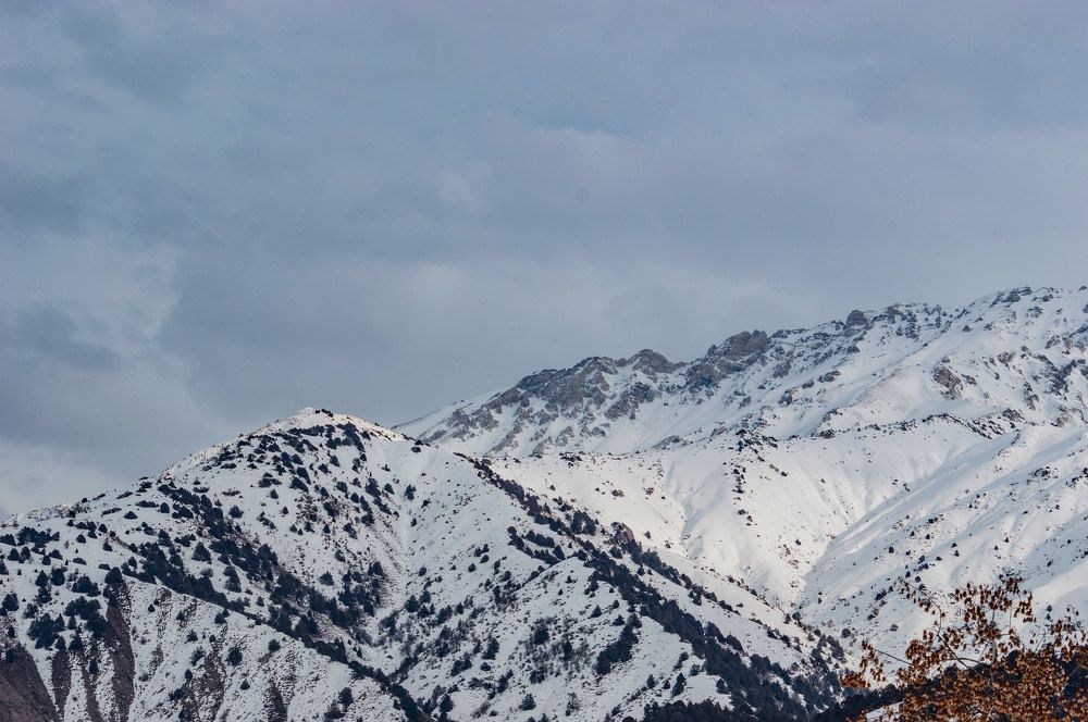 Photograph by Ruslan Ruslan