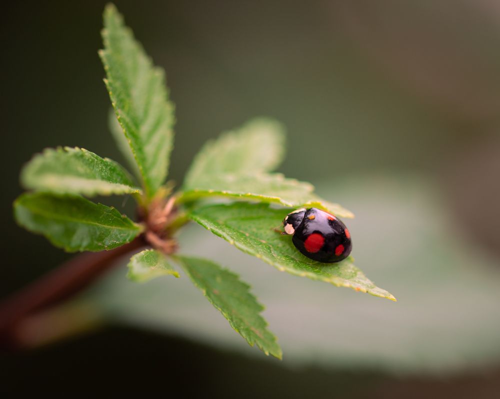 Photograph by Евгения Журавлева