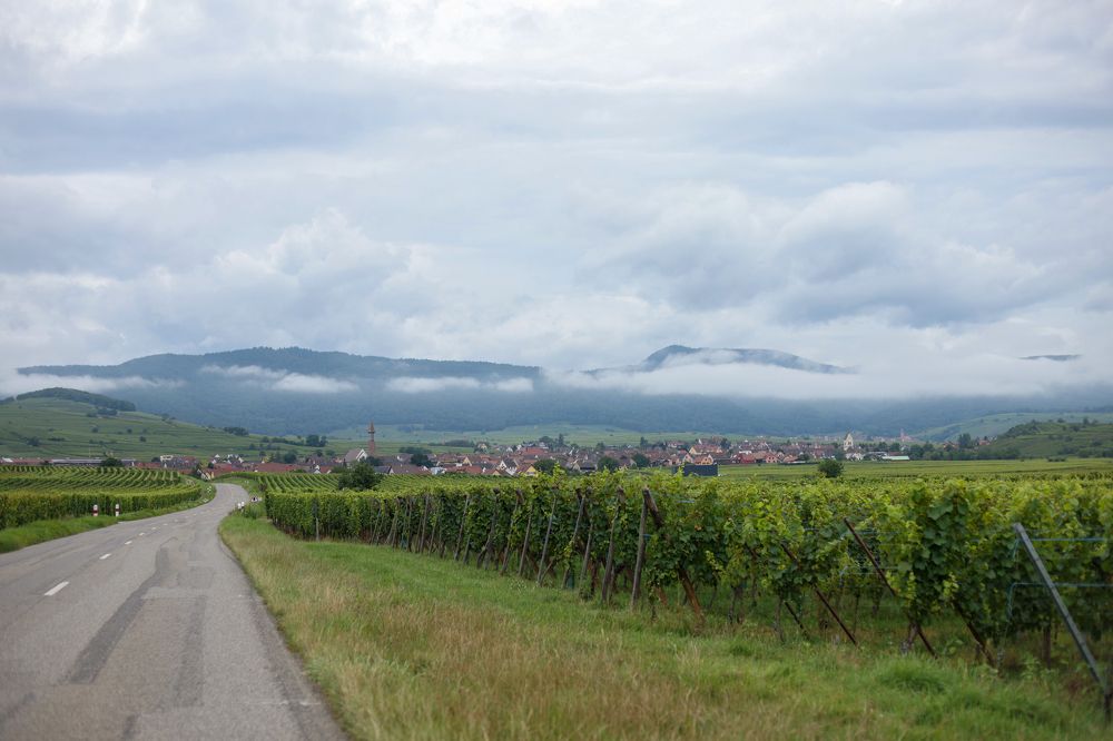 Photograph by Inna Ben Simon