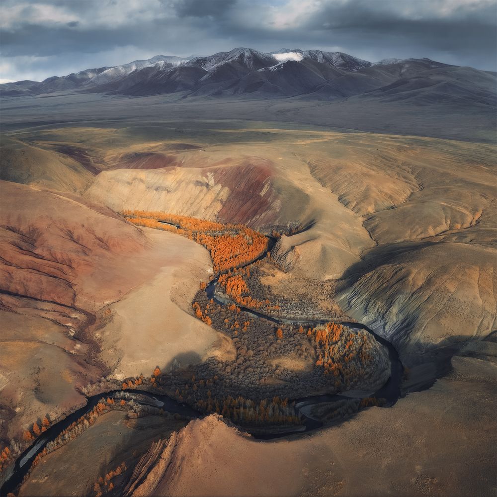 Фотография автора Вадим Кононенко