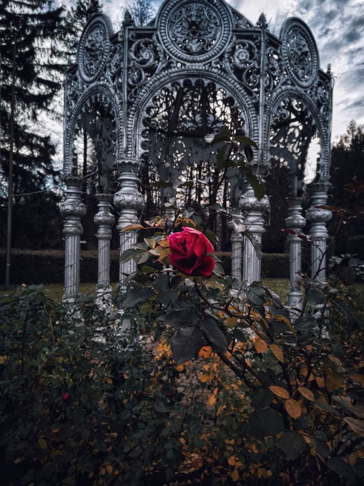 Photograph by Катерина Дорошевич