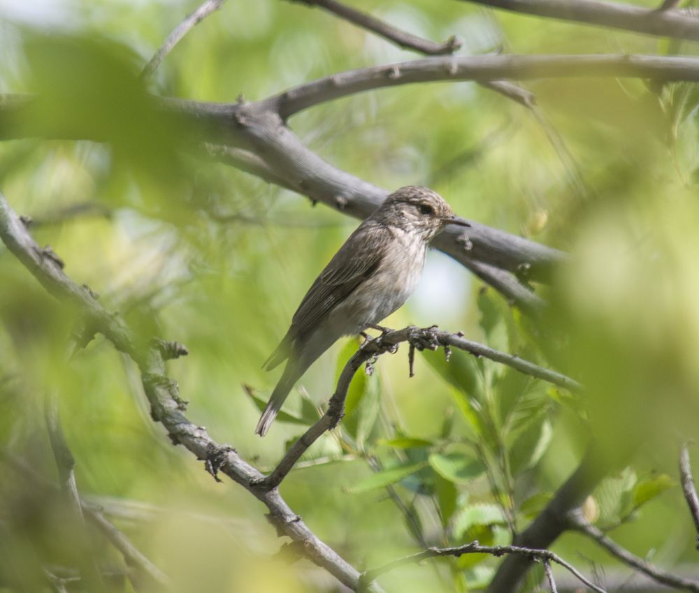 Фотография автора Артем Андрющенко