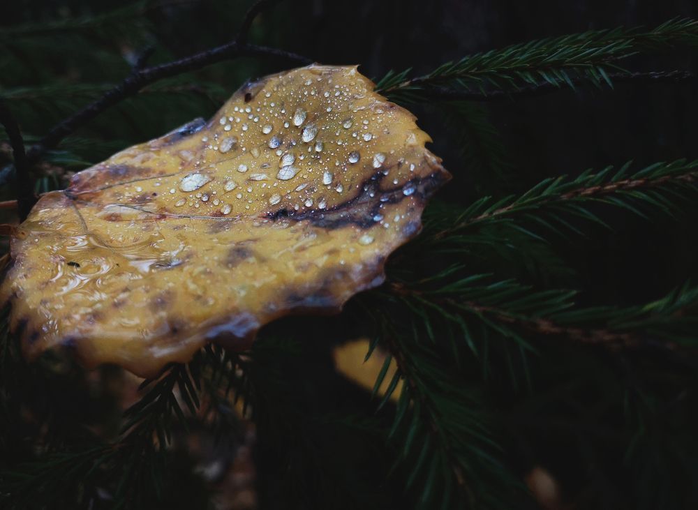 Photograph by Даниил Бушуев