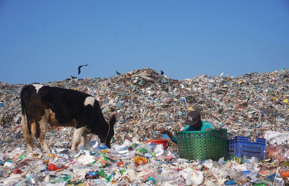 Photograph by Md. Shaafiul Islam Mahin