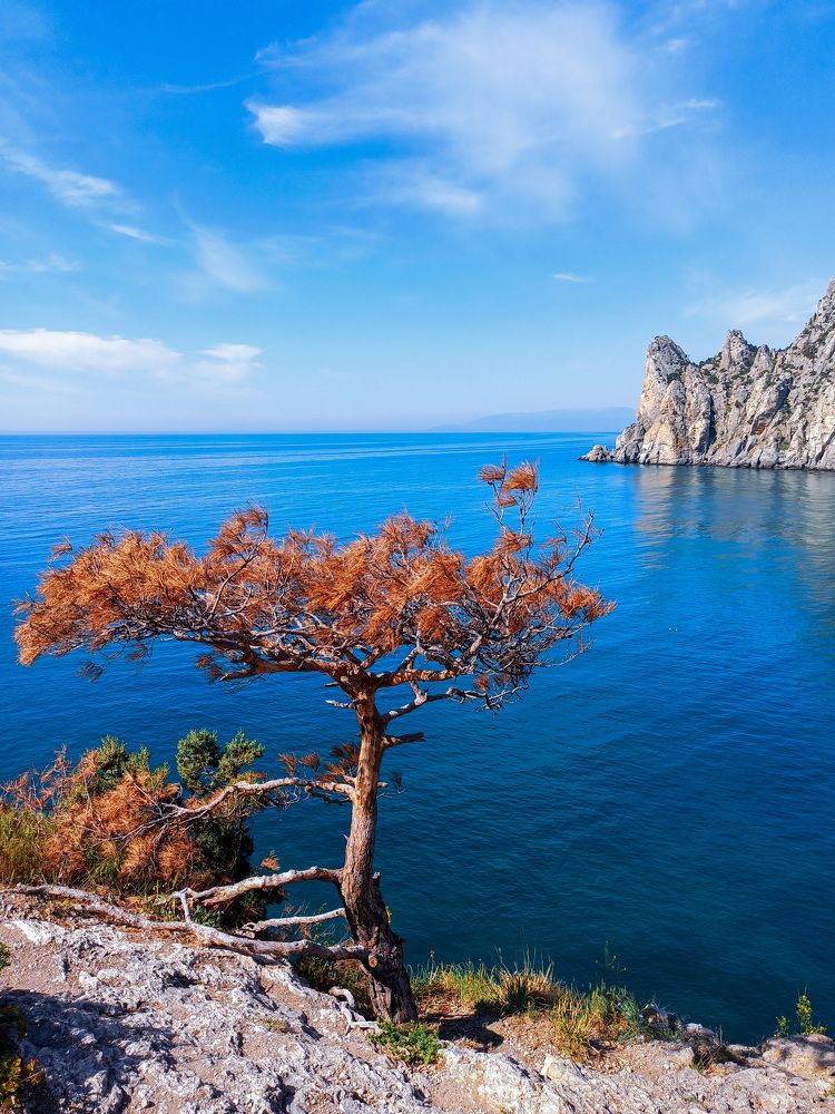 Photograph by Анна Корытина