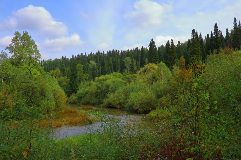 Photograph by Нина Титенкова