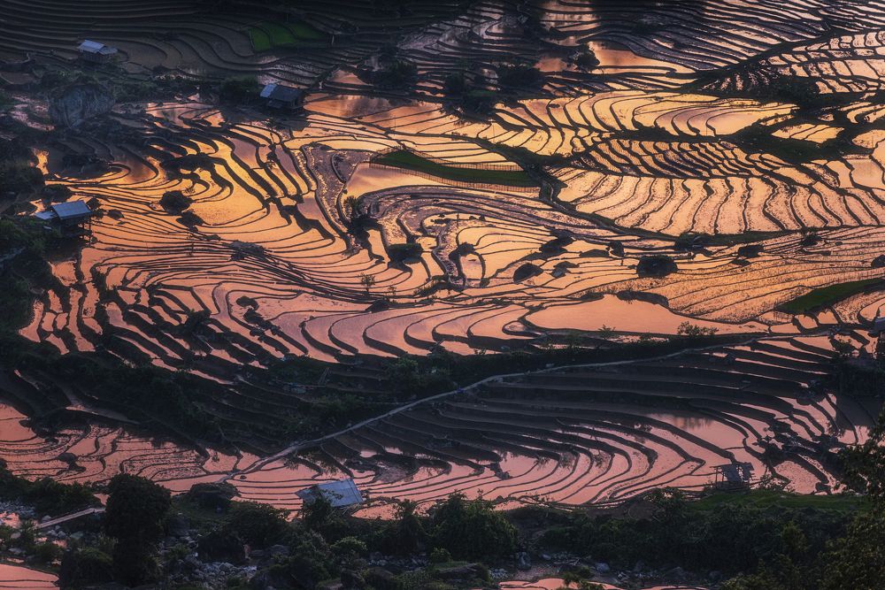 Photograph by Trieu Hung