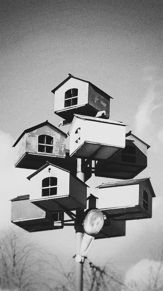 Многоэтажный скворечник.