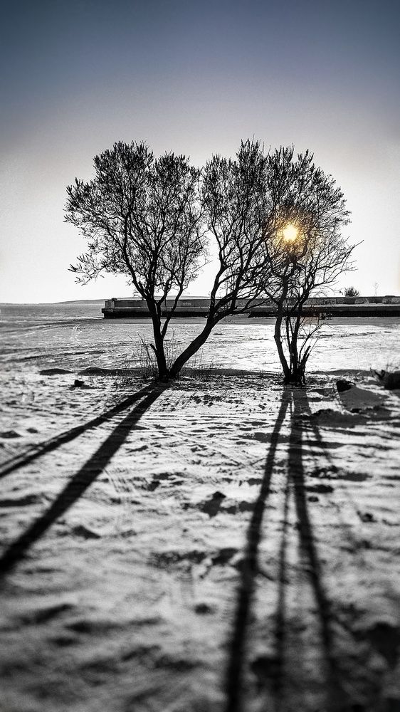 Свет и тень