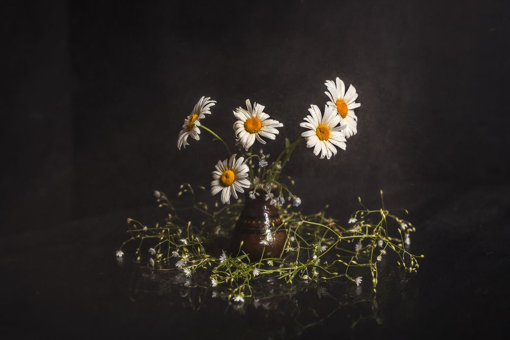 Photograph by Дмитрий Сундеев