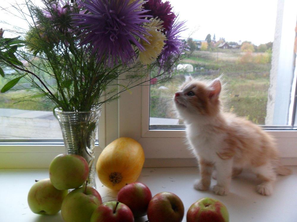 Photograph by Марина Ендальцева