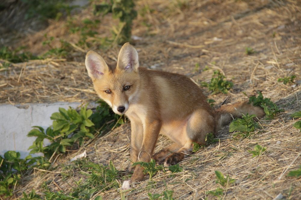 Photograph by Сергей Хитра