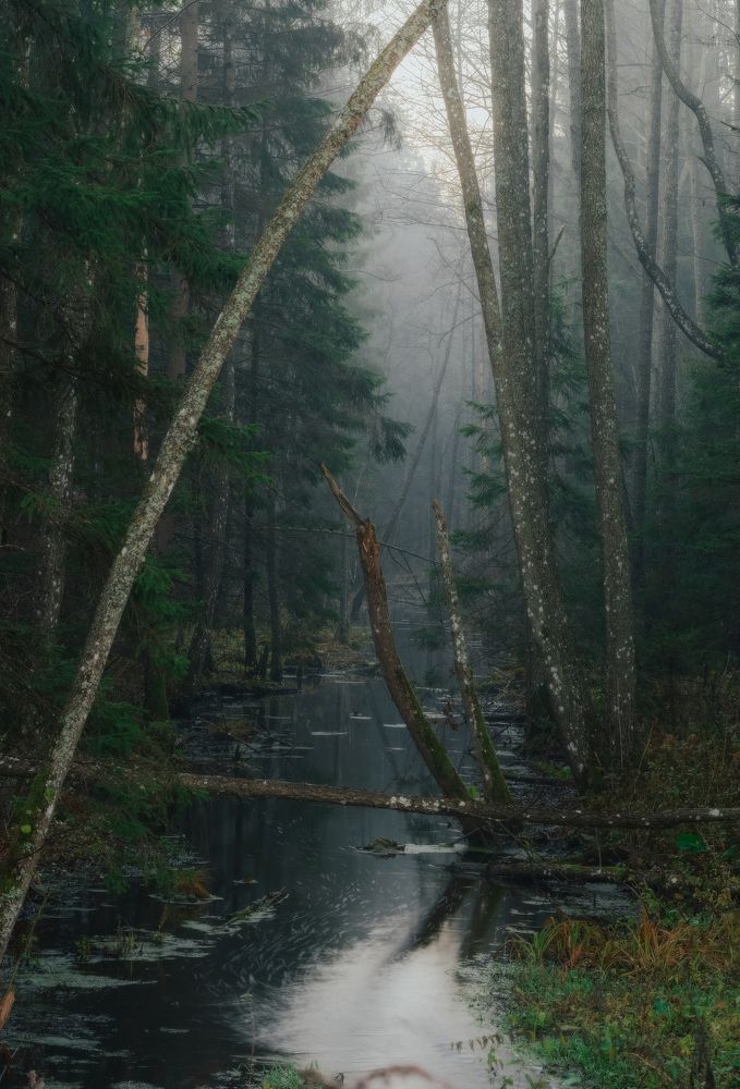 Фотография автора Андрей Врубель