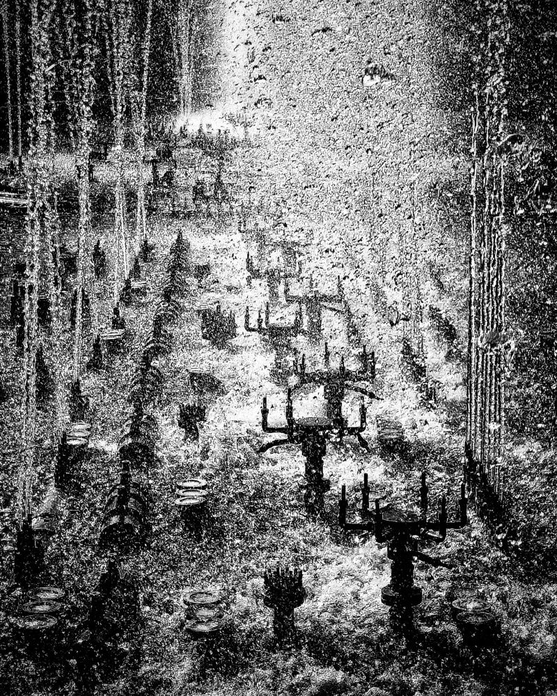 Photograph by Carlos Orozco Carlos Orozco bass