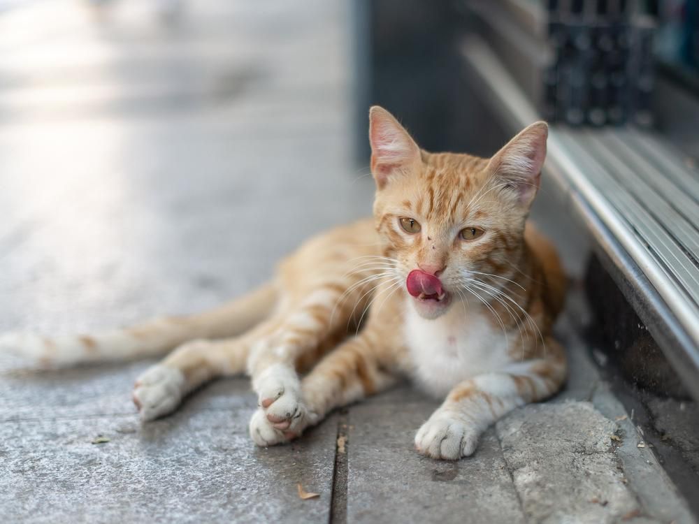 Photograph by Нина Тарашкевич